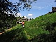 Arriviamo all'Alpe Pluni-Polunia  (mt. 1460)